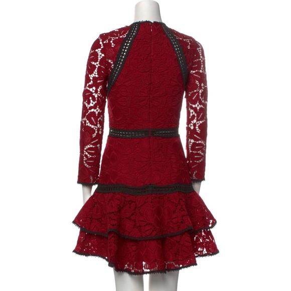 Alexis Lace Pattern Mini Dress - Picture 3 of 3